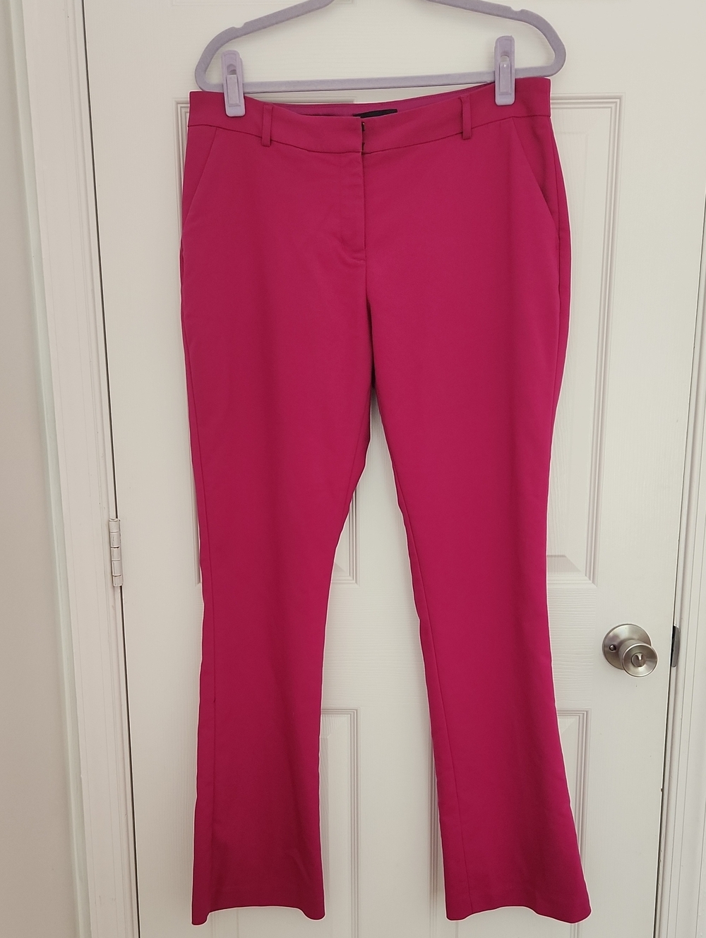 Business Casual Work Office Express Columnist Magenta Boot Mid Rise Dress Pants